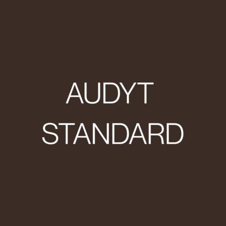 Audyt STANDARD – Analiza sprzedażowa i optymalizacja konwersji - Strona WWW / Social Media