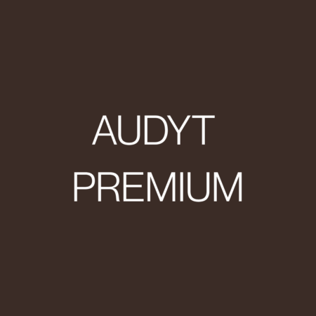 Audyt Social Media Premium PDF – Strategia, BIO, highlights i 30 pomysłów na posty